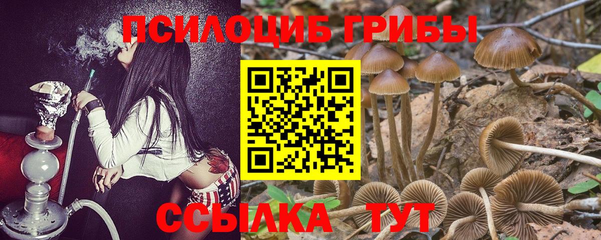 Псилоцибиновые грибы MAGIC MUSHROOMS Алапаевск