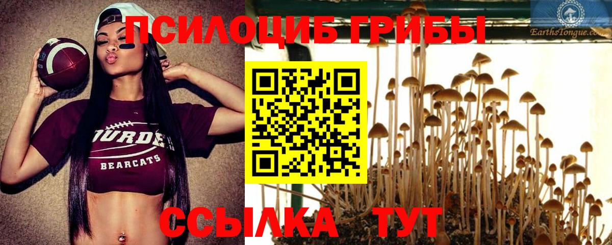 Алапаевск  Псилоцибиновые грибы GOLDEN TEACHER  Вход с VPN 